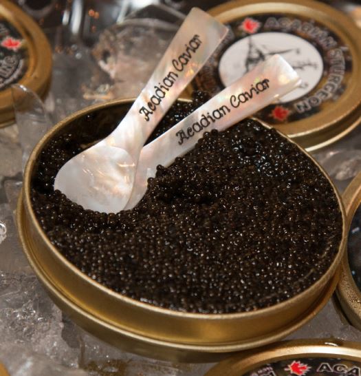 Canadian Black Caviar